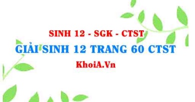 Giải Sinh 12 trang 60 Chân trời Sáng tạo